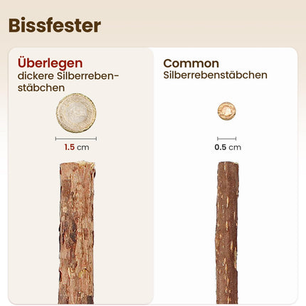 Potaroma Katzenminze Sticks, 6 Stück natürliche Katzen Kauhölzer Silvervine Sticks Katzenspielzeug, Kätzchen-Kauspielzeug für Zahnreinigung, Zahnpflege & Gegen Mundgeruch