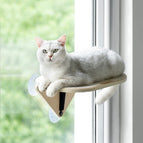 Grundfarbe / 1 PCS