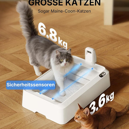 PETKIT Purobot Crystal Duo Self-Cleaning Cat Litter Box with Camera, AI Health Monitoring, Odour Control, Open Design for Large Cats, Up to 30 Days Without Cleaning