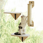 Grundfarbe / 3 PCS SET